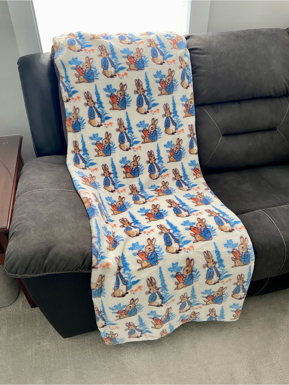 Peter Rabbit Reading Decorative Throw Beatrix Potter Easter Spring Throw